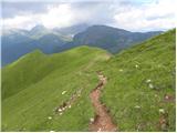 Malga Fosse - Cima della Rosetta